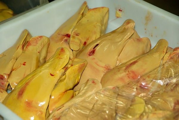 Découvrez le Prix Moyen du Foie Gras de Canard Frais : Comment Se Régaler Sans Se Ruiner